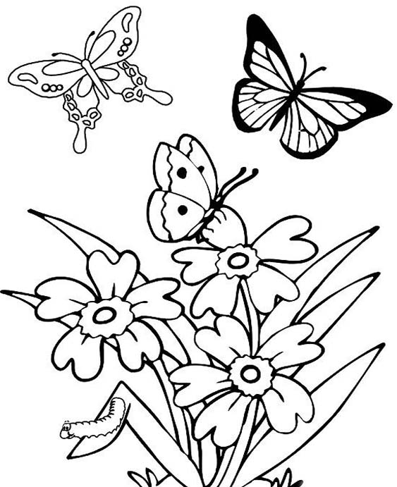 Free & Easy To Print Spring Coloring Pages